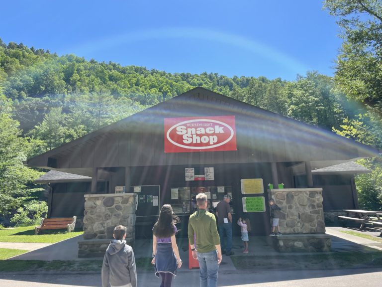 Pennsylvania Pioneer Campground: Your Rustic Retreat Awaits!